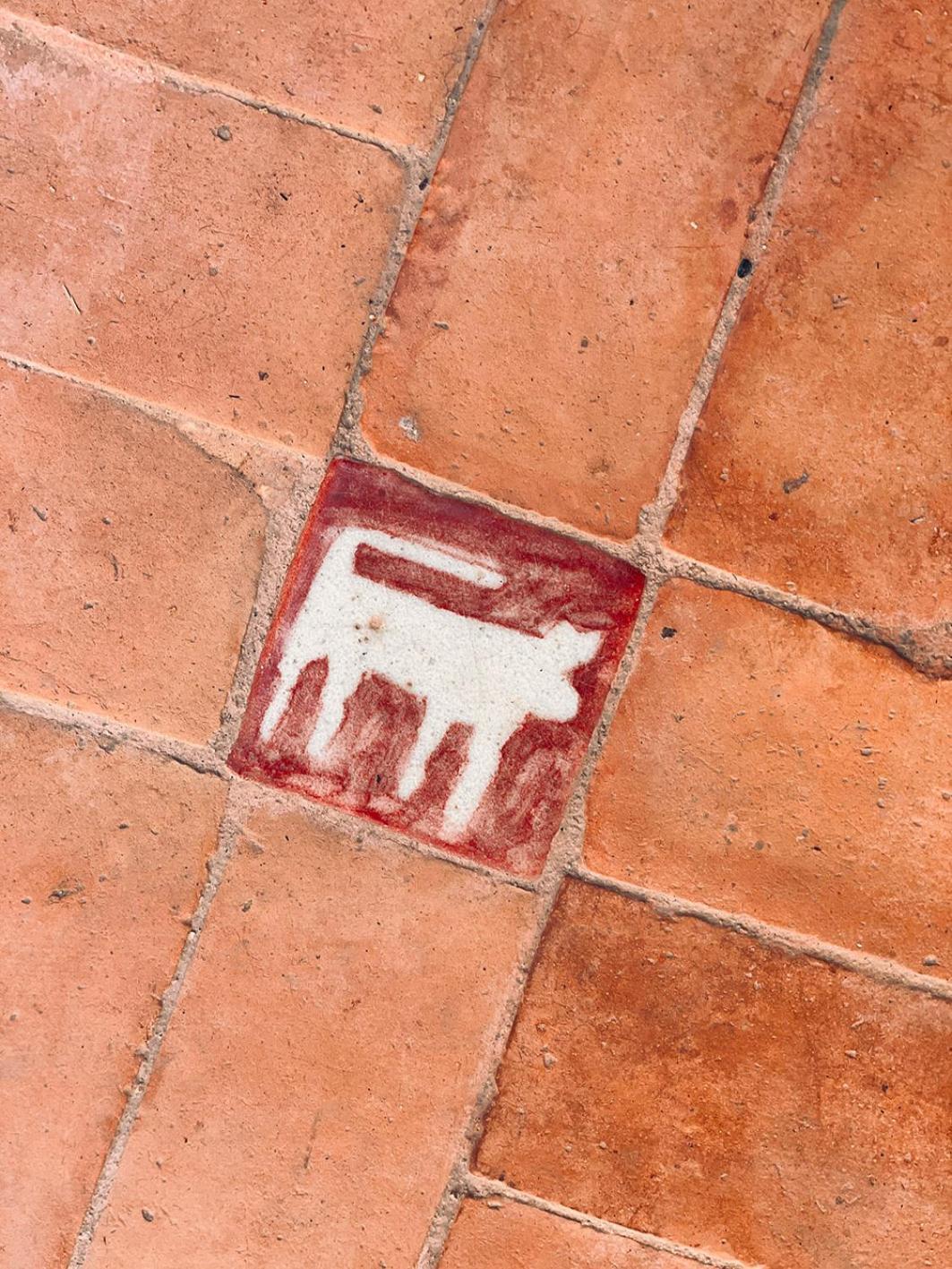Riyad Lion Rouge Marrakesh Extérieur photo