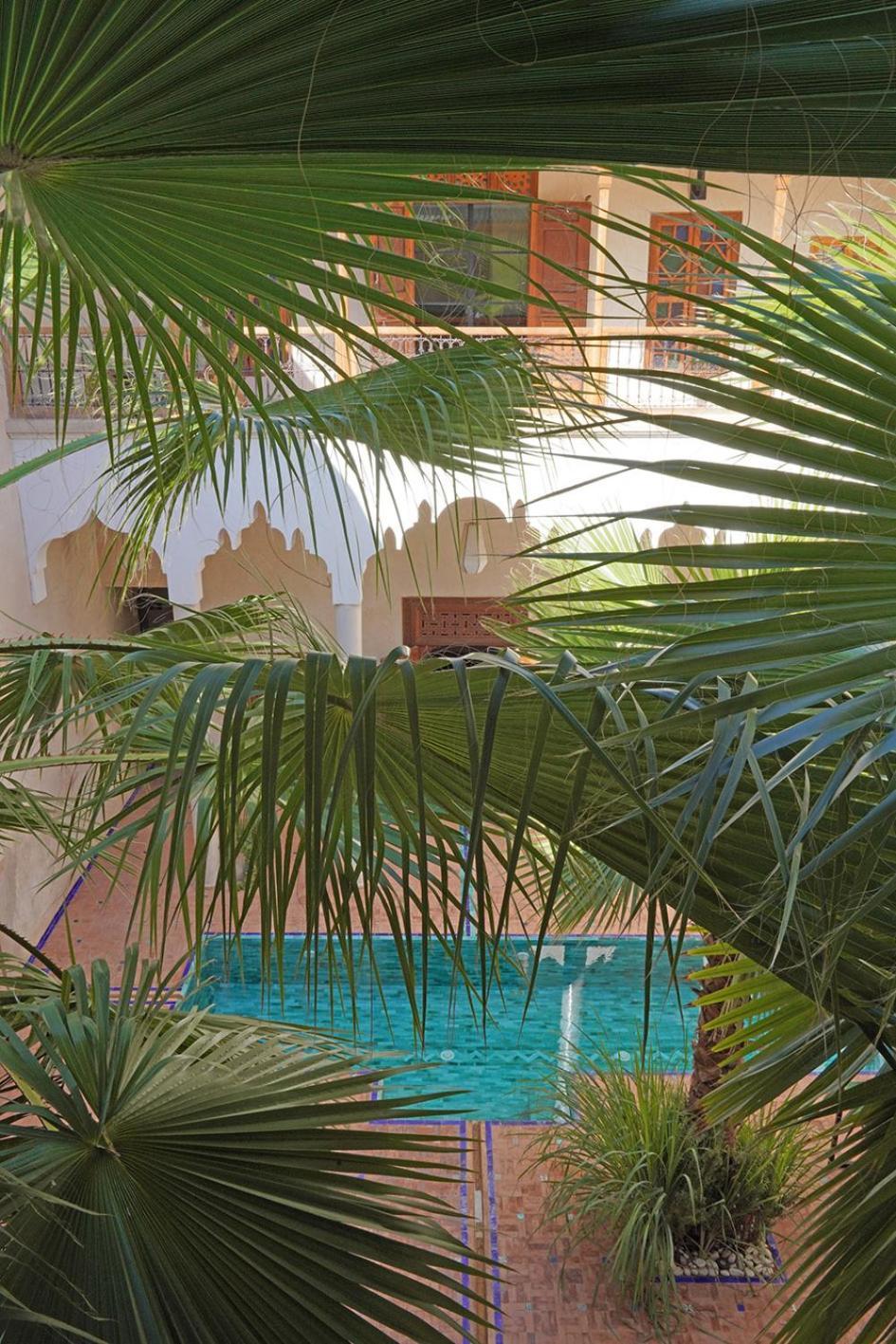 Riyad Lion Rouge Marrakesh Extérieur photo